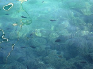 the sea at Villefranche-sur-Mer